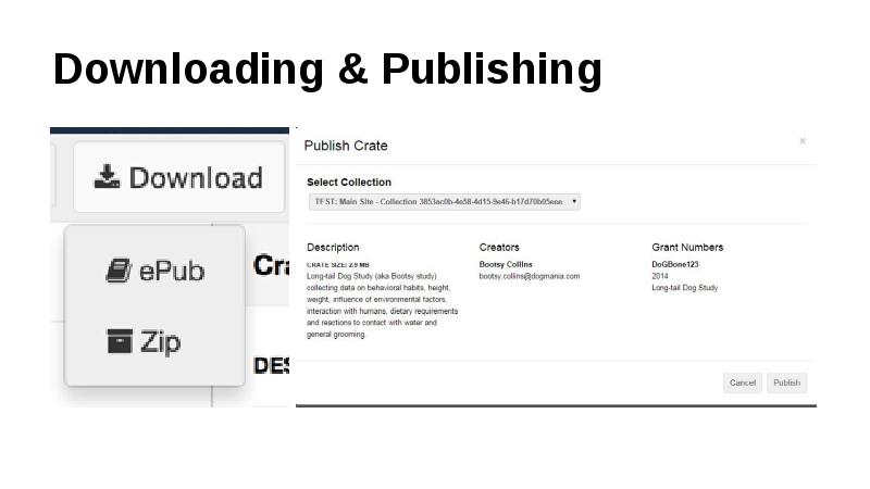 Downloading & Publishing