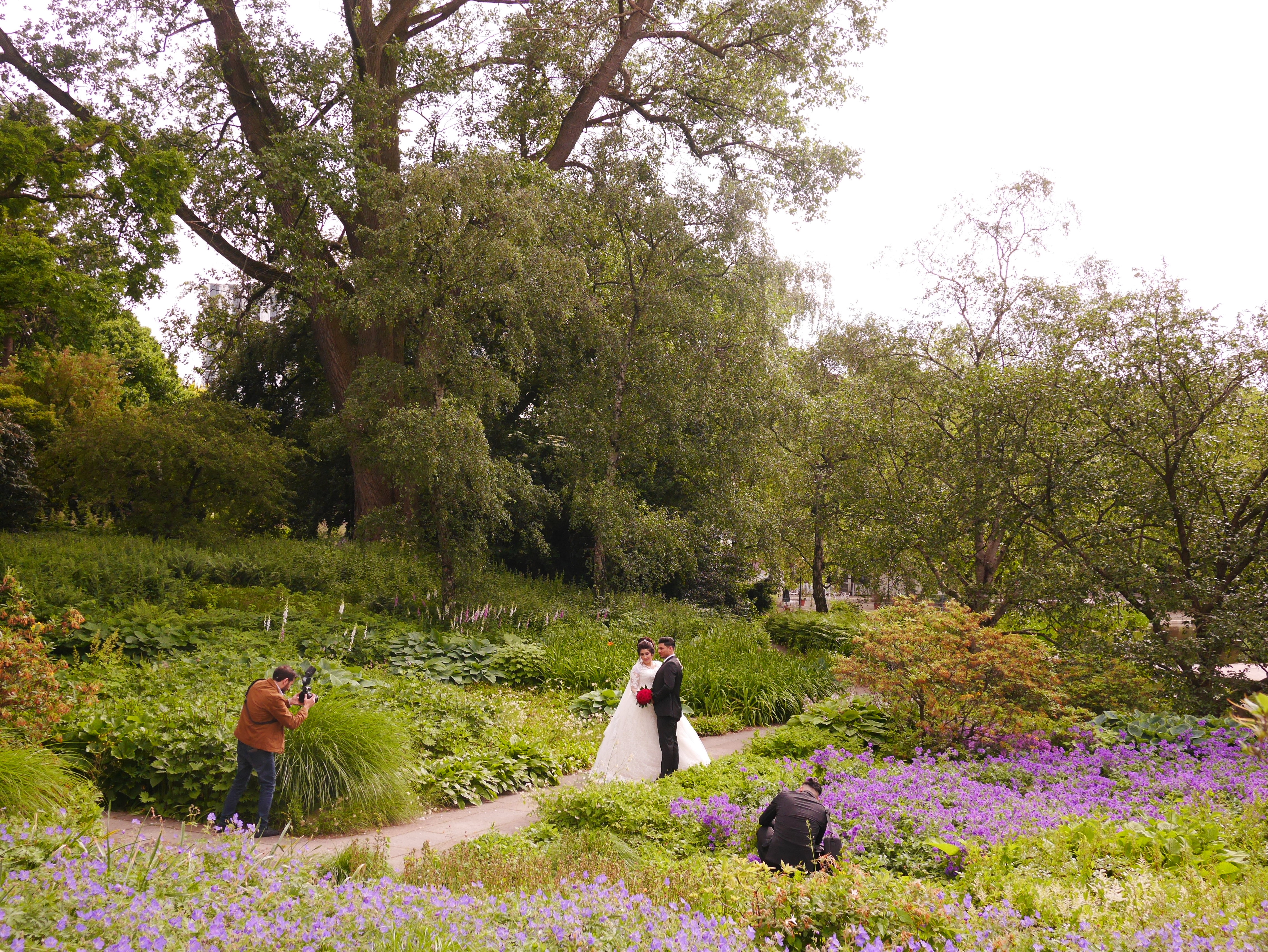 Wedding photo in a park